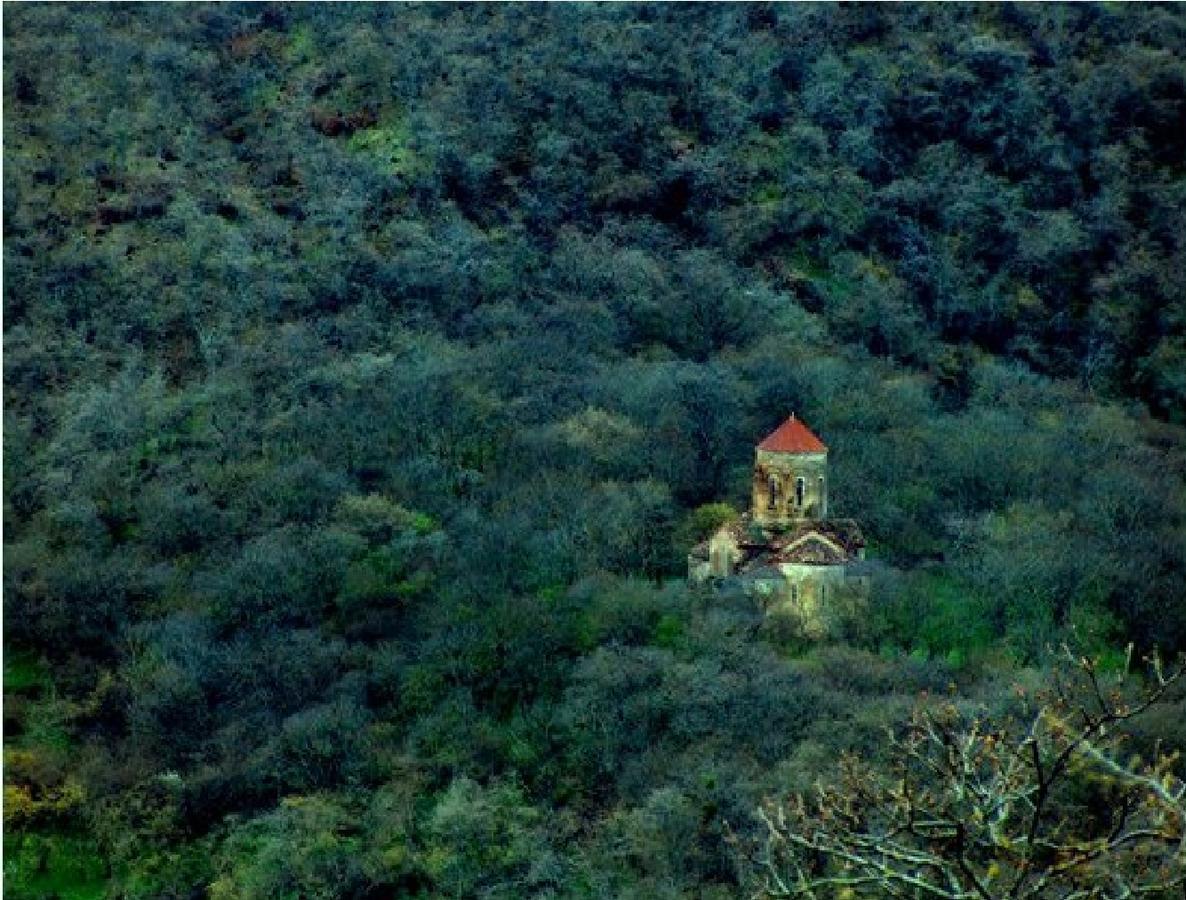 Guesthouse Megzuri Dedoplis Tskaro Exterior photo